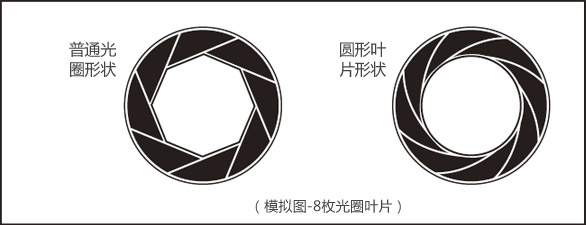 Shape of regular diaphragm & Shape of rounded diaphragm