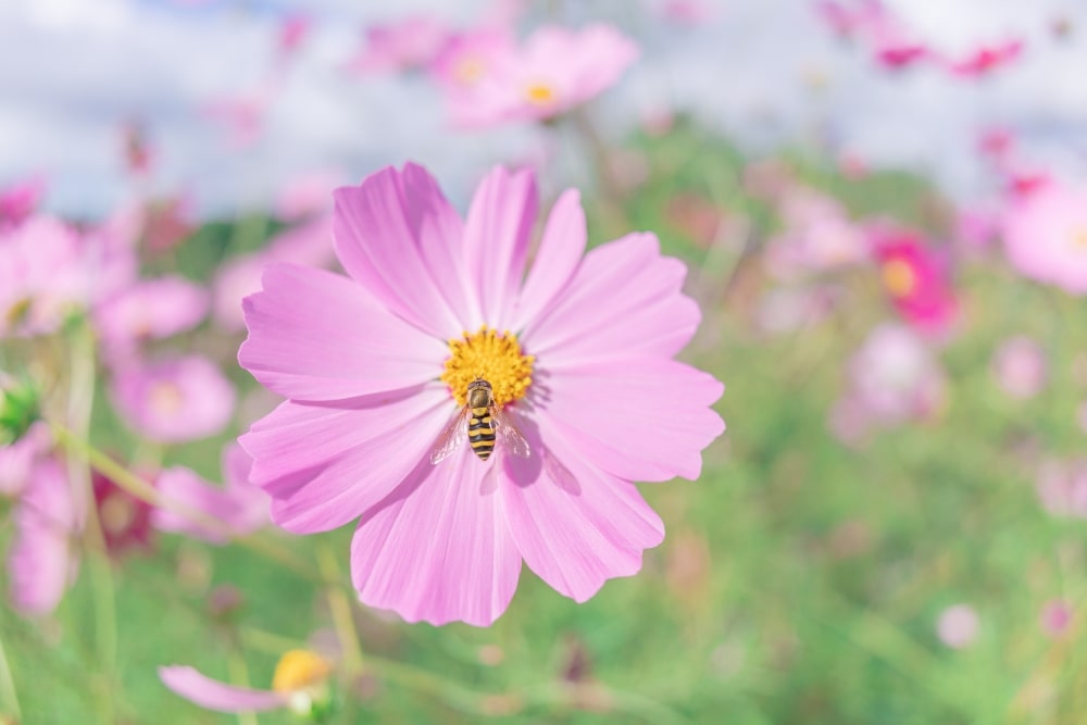 TAMRON 20mm F2.8（型号F050）　焦距：20mm　光圈：F2.8　快门：1/1600秒　ISO：100