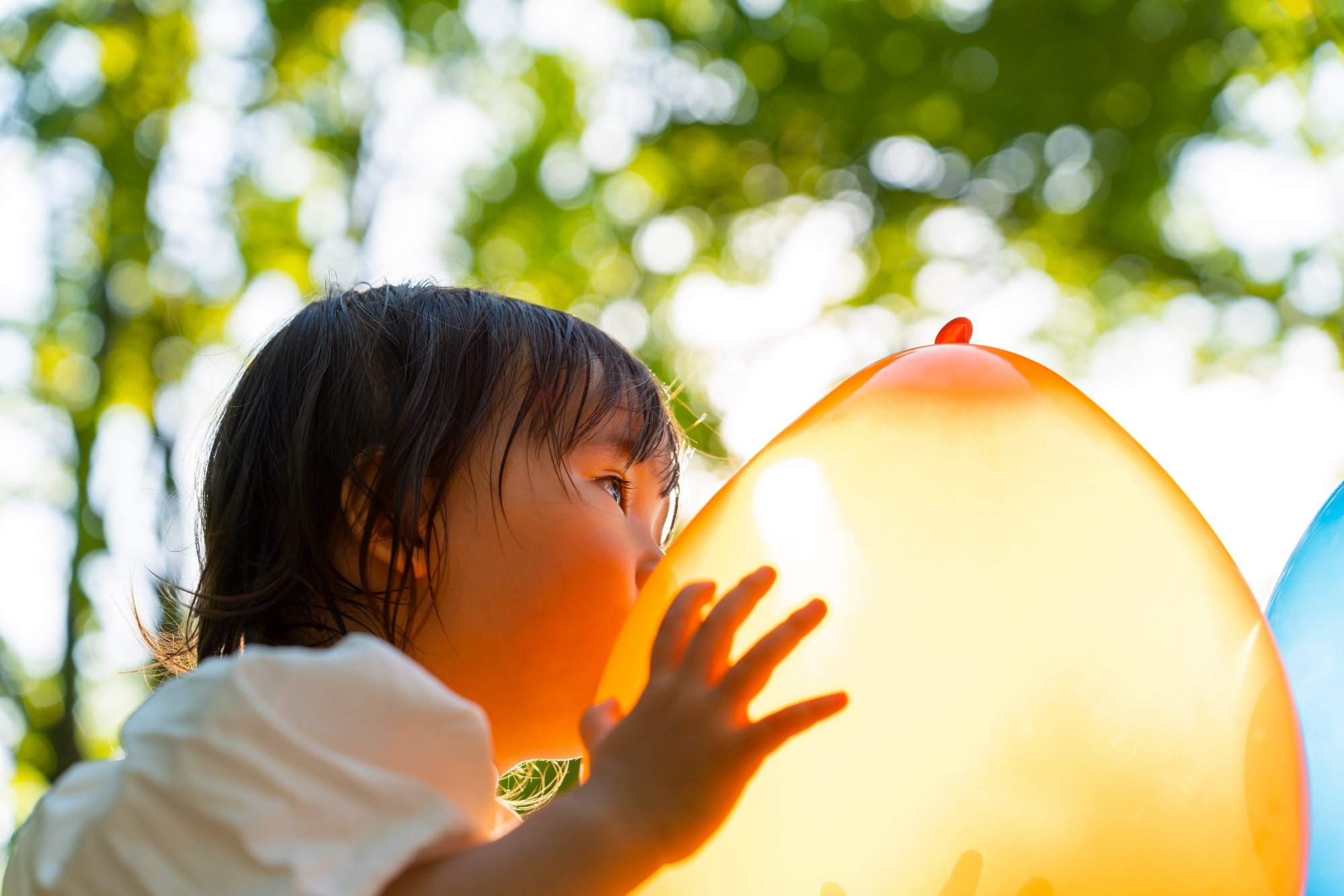 TAMRON 28-75mm F2.8 G2（型号A063）　焦距：74mm　光圈：F4　快门：1/500秒　ISO：200