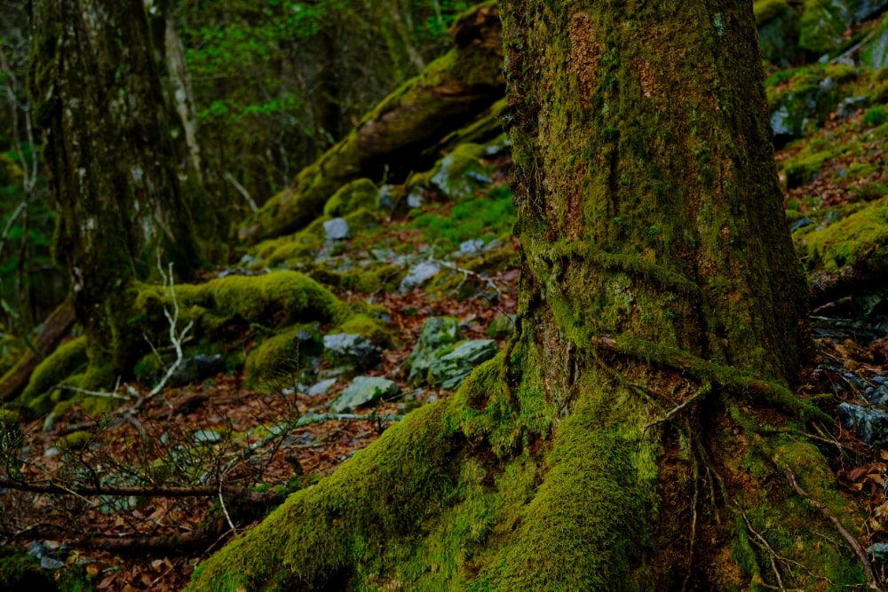 TAMRON 17-70mm F2.8（型号B070）　焦距：35mm　光圈：F2.8　快门：1/240秒　ISO：400