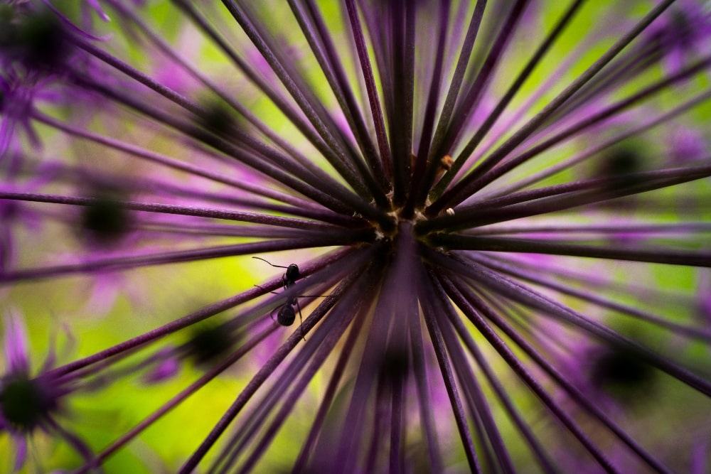 TAMRON 50-400mm F4.5-6.3（型号A067）　焦距：50mm　光圈：F4.5　快门：1/2000秒　ISO：640