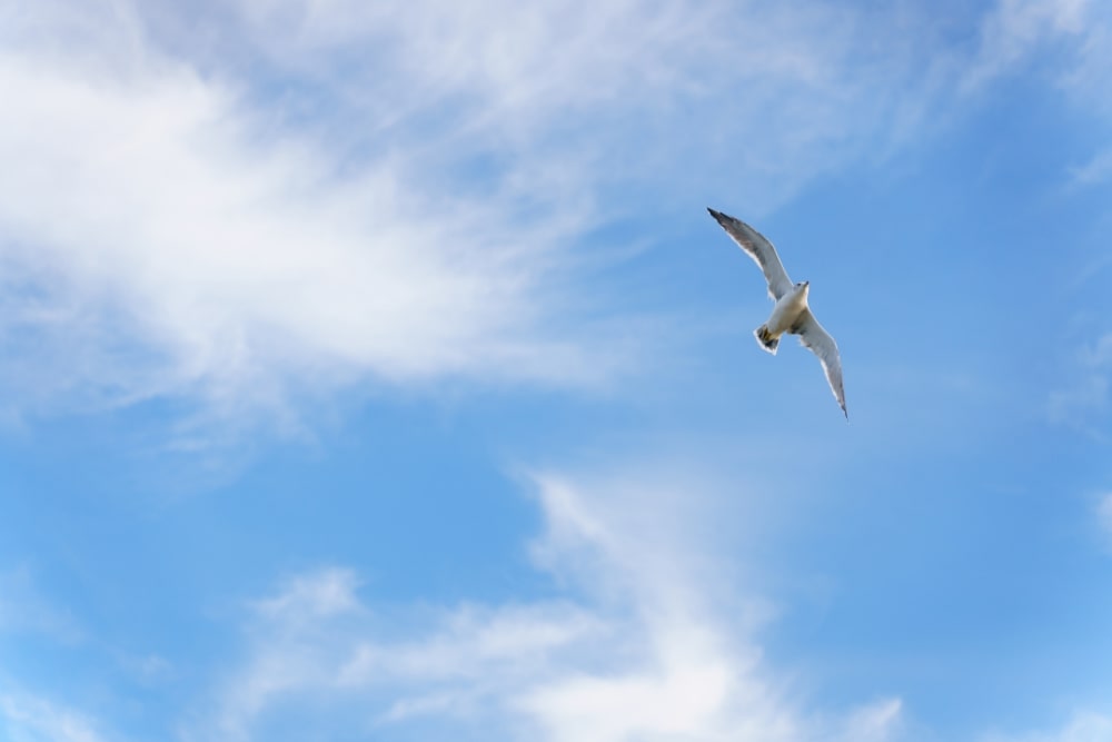 TAMRON 28-75mm F2.8 G2（型号A063）　焦距：75mm　光圈：F2.8　快门：1/5000秒　ISO：200