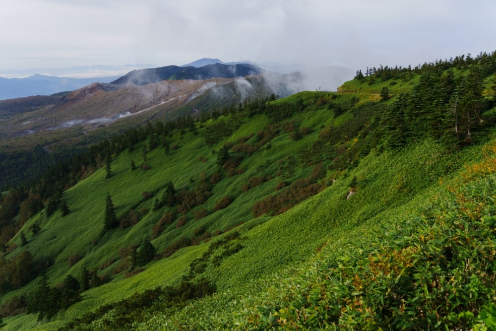 TAMRON 28-75mm F2.8 G2（型号A063）　焦距：28mm　光圈：F2.8　快门：1/1000秒　ISO：100