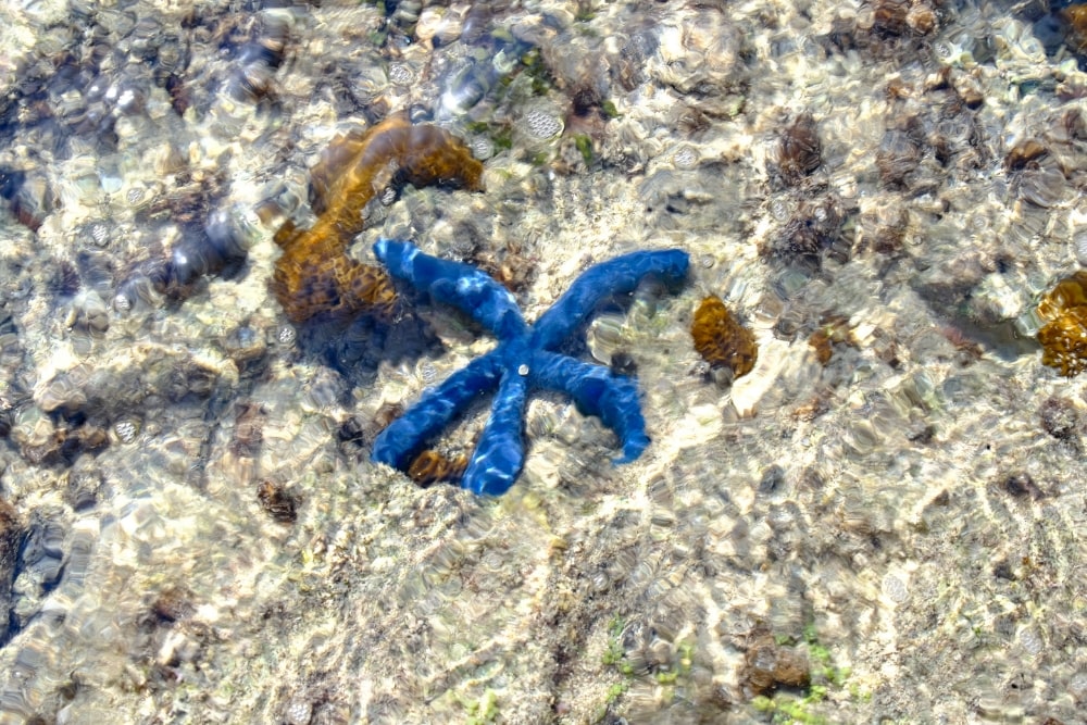 TAMRON 18-300mm F3.5-6.3（型号B061）　焦距：32.1mm　光圈：F8　快门：1/105秒　ISO：160