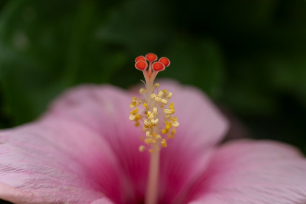 TAMRON 50-300mm F4.5-6.3（型号A069）　焦距：50mm　光圈：F4.5　快门：1/60秒　ISO：800