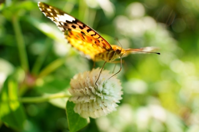 Enjoy it from a new perspective