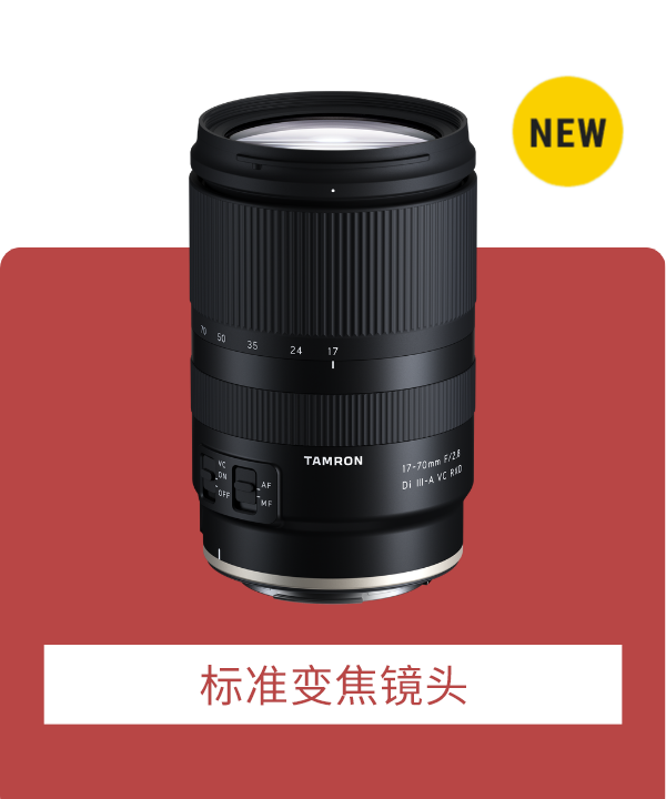 Standard Zoom Lens
