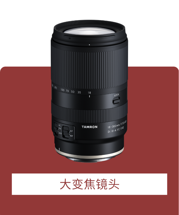 All-In-One Zoom Lens