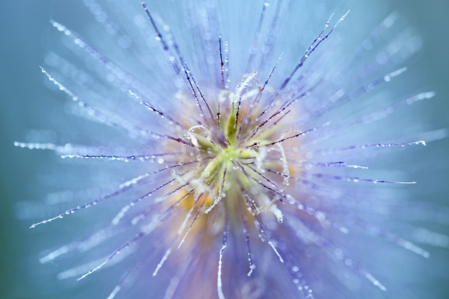 镜头：F017<br>焦距：90mm<br>曝光：F4 1/125秒