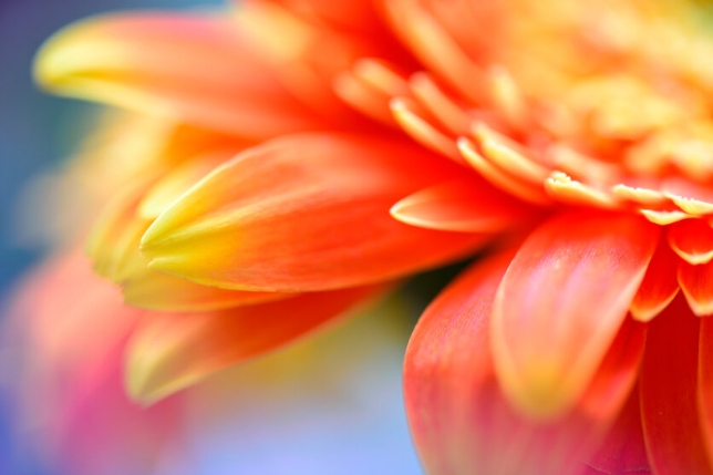 镜头：F017<br>焦距：90mm<br>曝光：F5.6 1/3秒