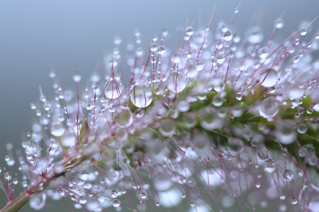 镜头：F017<br>焦距：90mm<br>曝光：F2.8 1/250秒