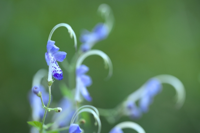 镜头：F017<br>焦距：90mm<br>曝光：F2.8 1/100秒