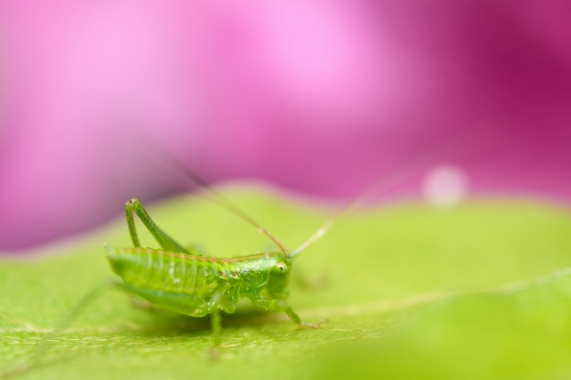 镜头：F072<br>焦距：90mm<br>曝光：F2.8 1/640秒