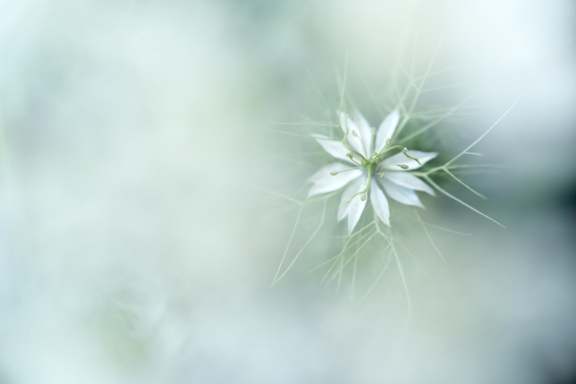 镜头：F072<br>焦距：90mm<br>曝光：F2.8 1/400秒