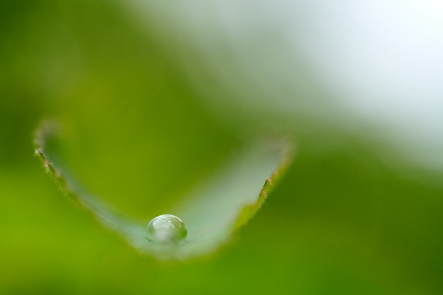 镜头：F072<br>焦距：90mm<br>曝光：F2.8 1/2000秒