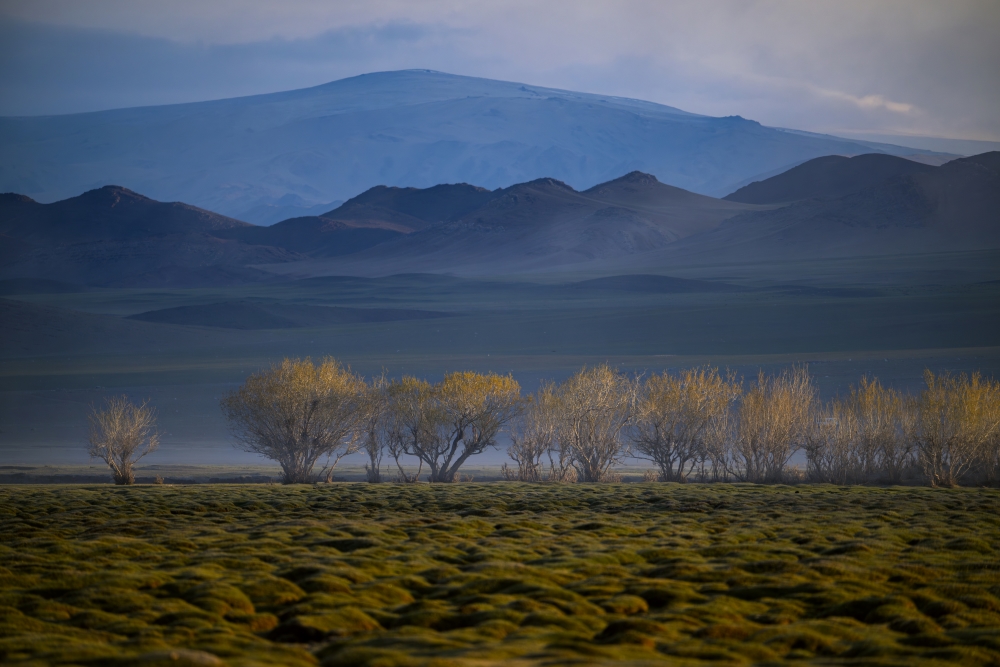 Photo taken by TAMRON Ultra-telephoto Zoom lens