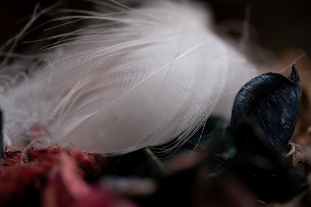 Photo taken by TAMRON Fixed Focal lens